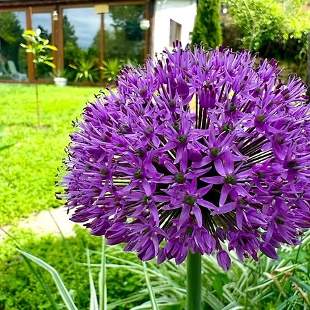 Casa vacanze Guest House Devetaki *